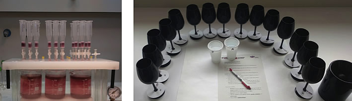 grupo-aromas.jpg