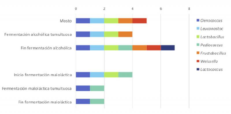 Lactic acid bacteria communities in must, alcoholic, and malolactic Tempranillo fermentations with culture-dependent and independent methods.