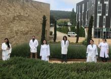 IN-Vid: Agroecological Innovation in the vineyards