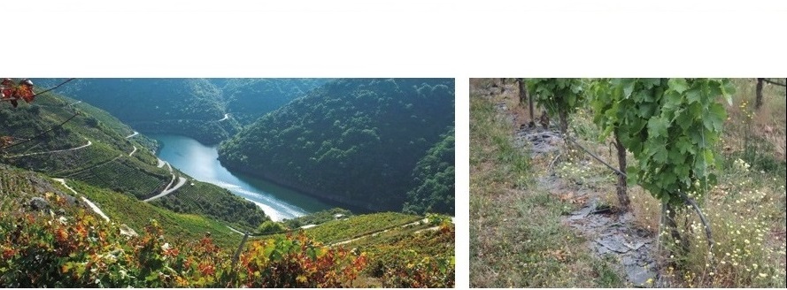 Fotografías