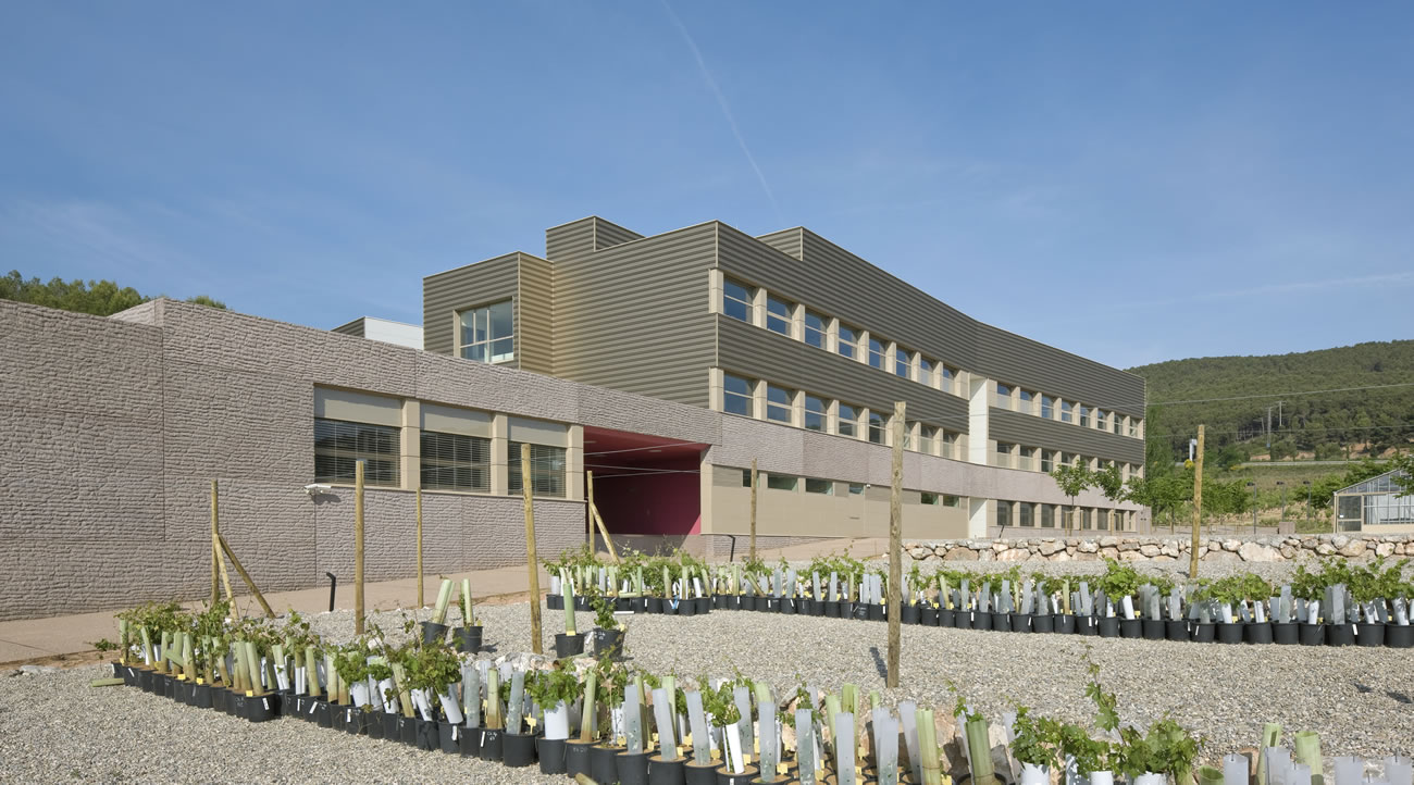 El Instituto