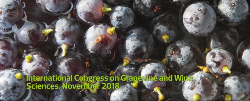 Del 7 al 9 de noviembre imprescindible cita con el International Congress on Grapevine and Wine Sciences