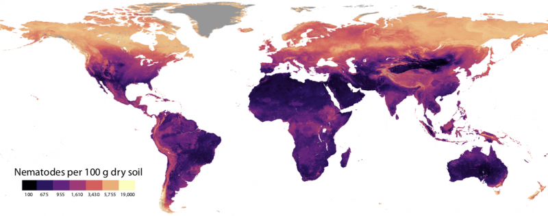 El ICVV participa en un análisis geoespacial mundial sobre nematodos del suelo