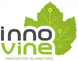 Innovine