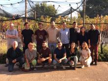VitisGESTIÓN. Gestión de factores de la Producción Vitícola