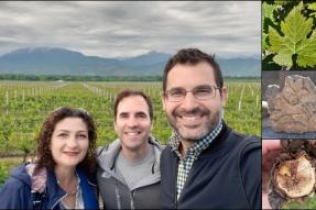 Fotografía