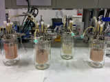 LA INOCULACION CONJUNTA DE LEVADURAS EN PROCESOS FERMENTATIVOS FOMENTA SU METABOLISMO