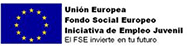 Fondo Social Europeo
